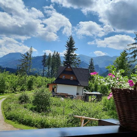 Goralska Chata Przy Dolinie Chocholowskiej Witów 外观 照片