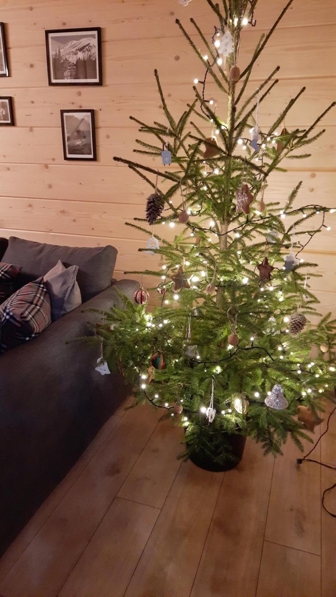 Goralska Chata Przy Dolinie Chocholowskiej Witów 外观 照片