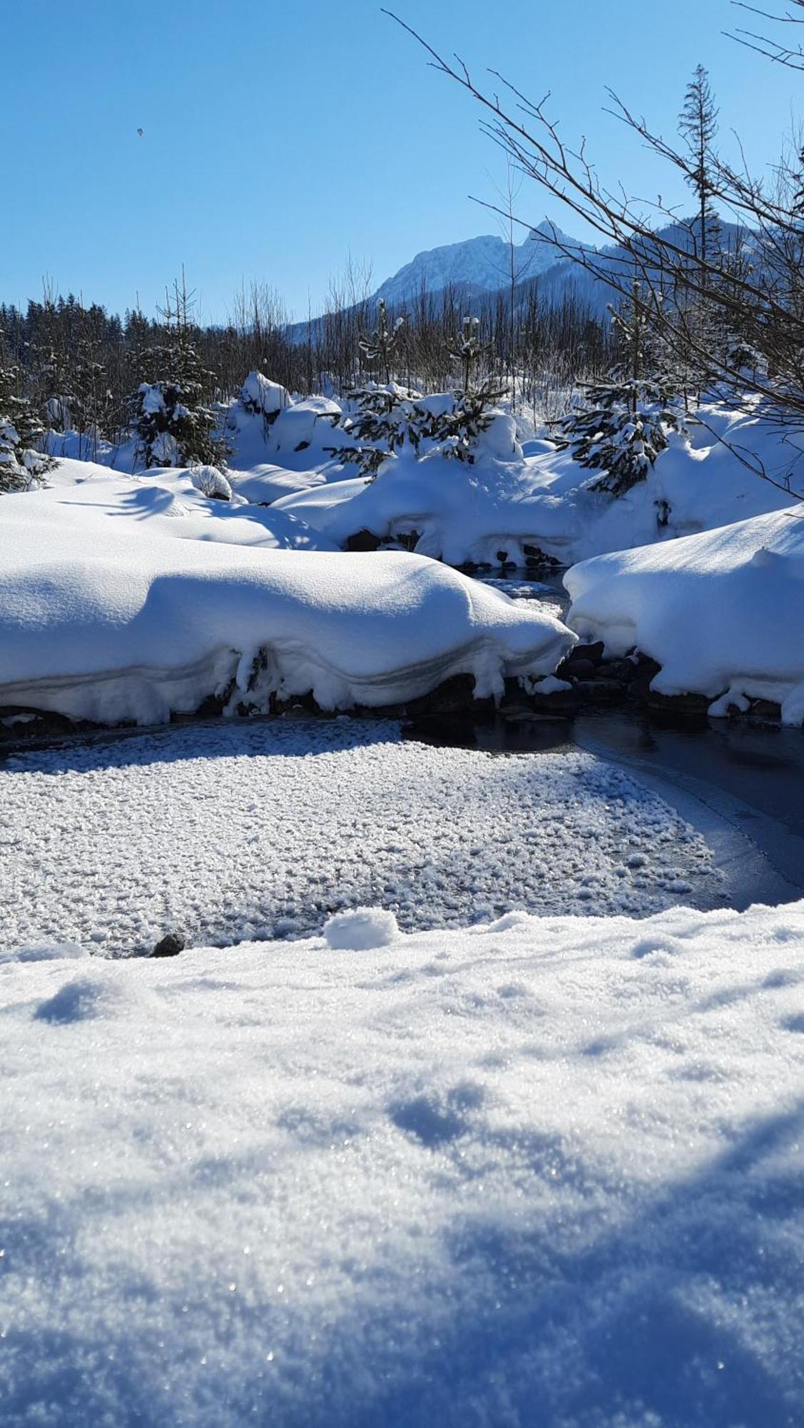 Goralska Chata Przy Dolinie Chocholowskiej Witów 外观 照片