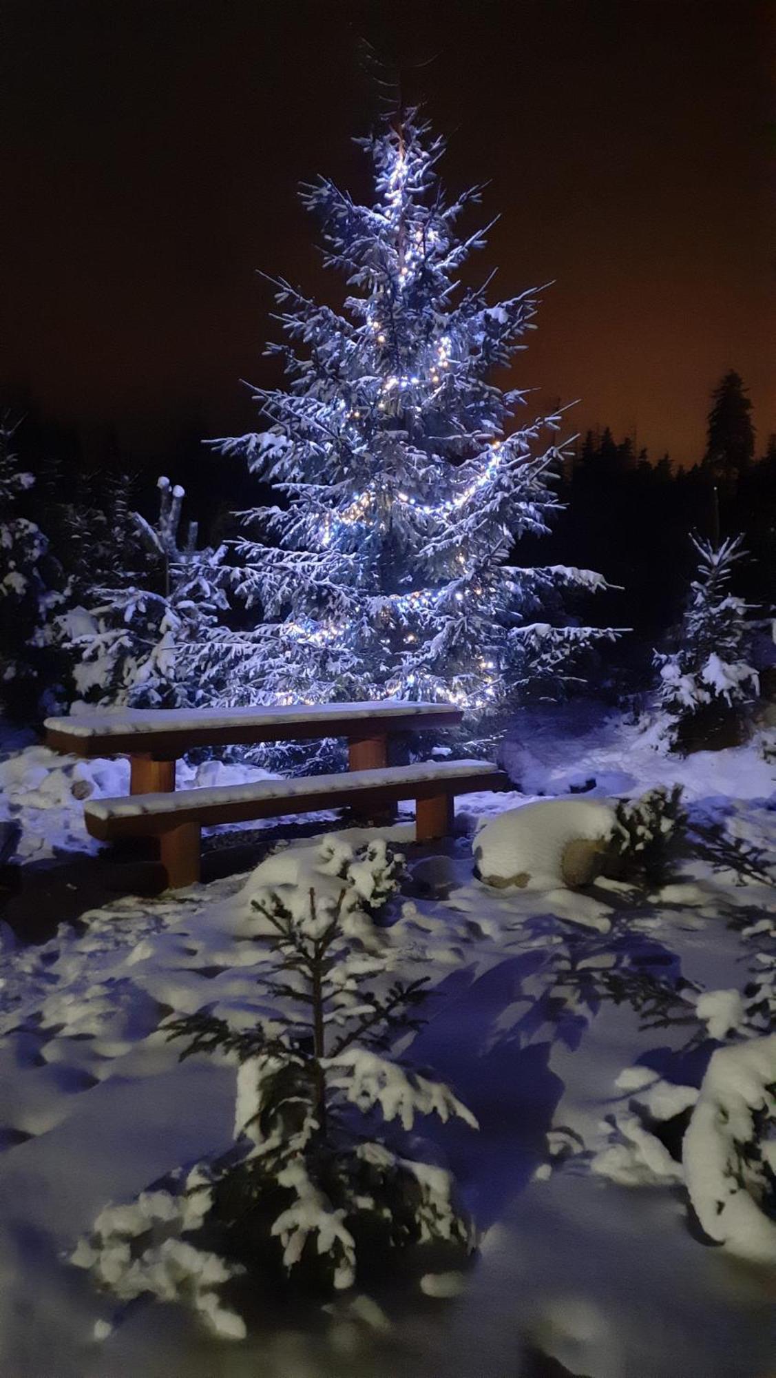 Goralska Chata Przy Dolinie Chocholowskiej Witów 外观 照片
