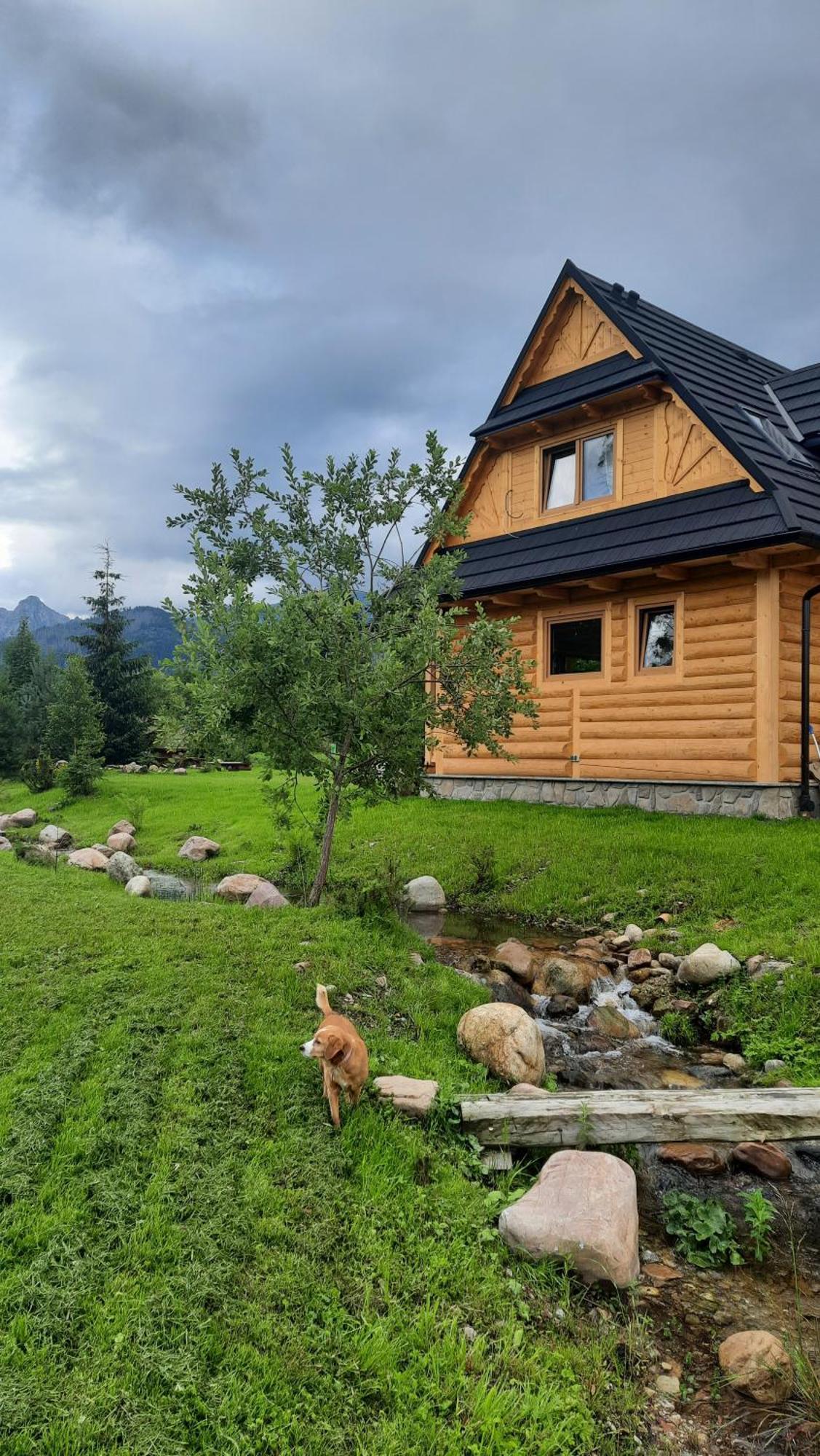 Goralska Chata Przy Dolinie Chocholowskiej Witów 外观 照片